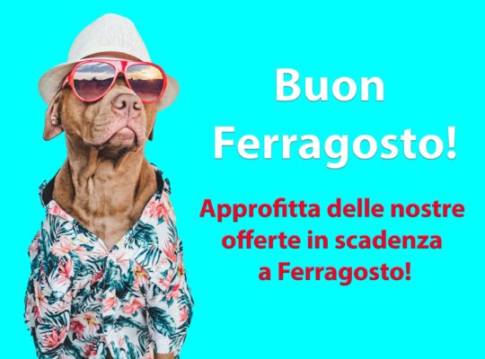 Offerte di ferragosto